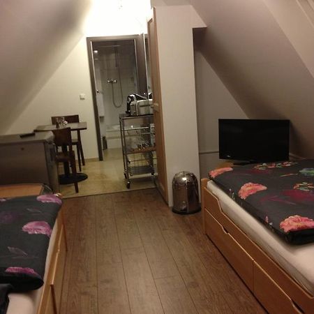 Old Town Guesthouse Erlangen Rum bild